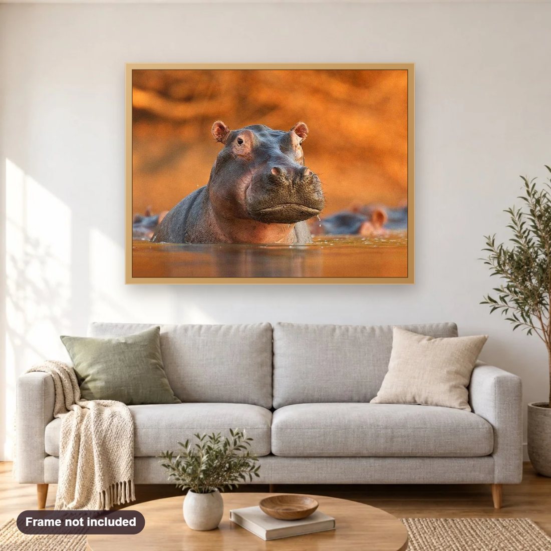 Hippo in Water diamond painting shown framed on a living room wall above a sofa