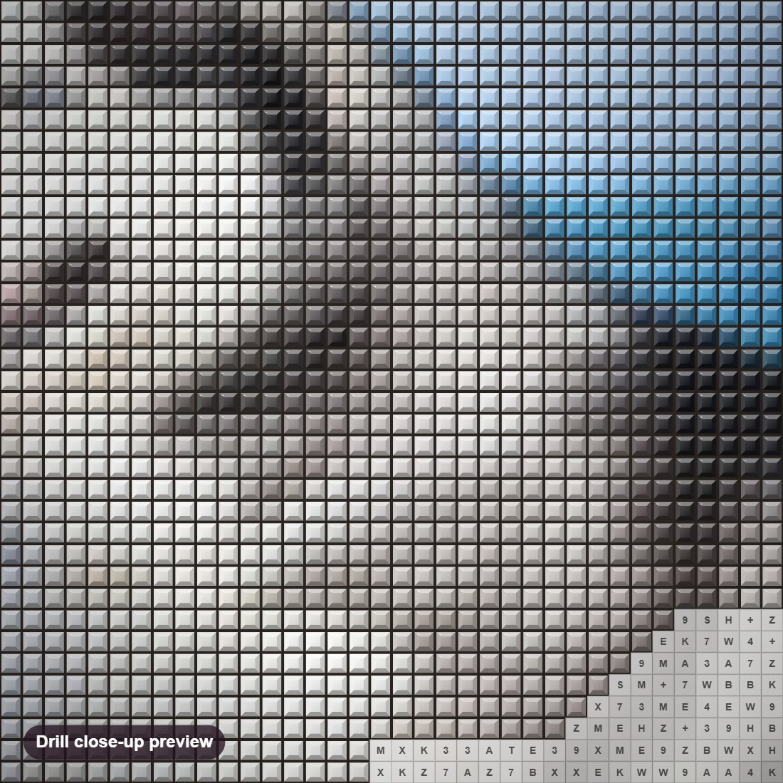 Close-up preview of the Husky at Beach diamond painting with square 5D drills and printed canvas symbols
