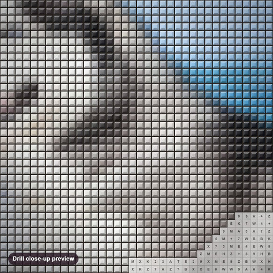 Close-up preview of the Husky at Beach diamond painting with square 5D drills and printed canvas symbols