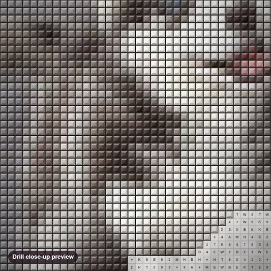 Close-up preview of the Husky diamond painting with square 5D drills and printed canvas symbols