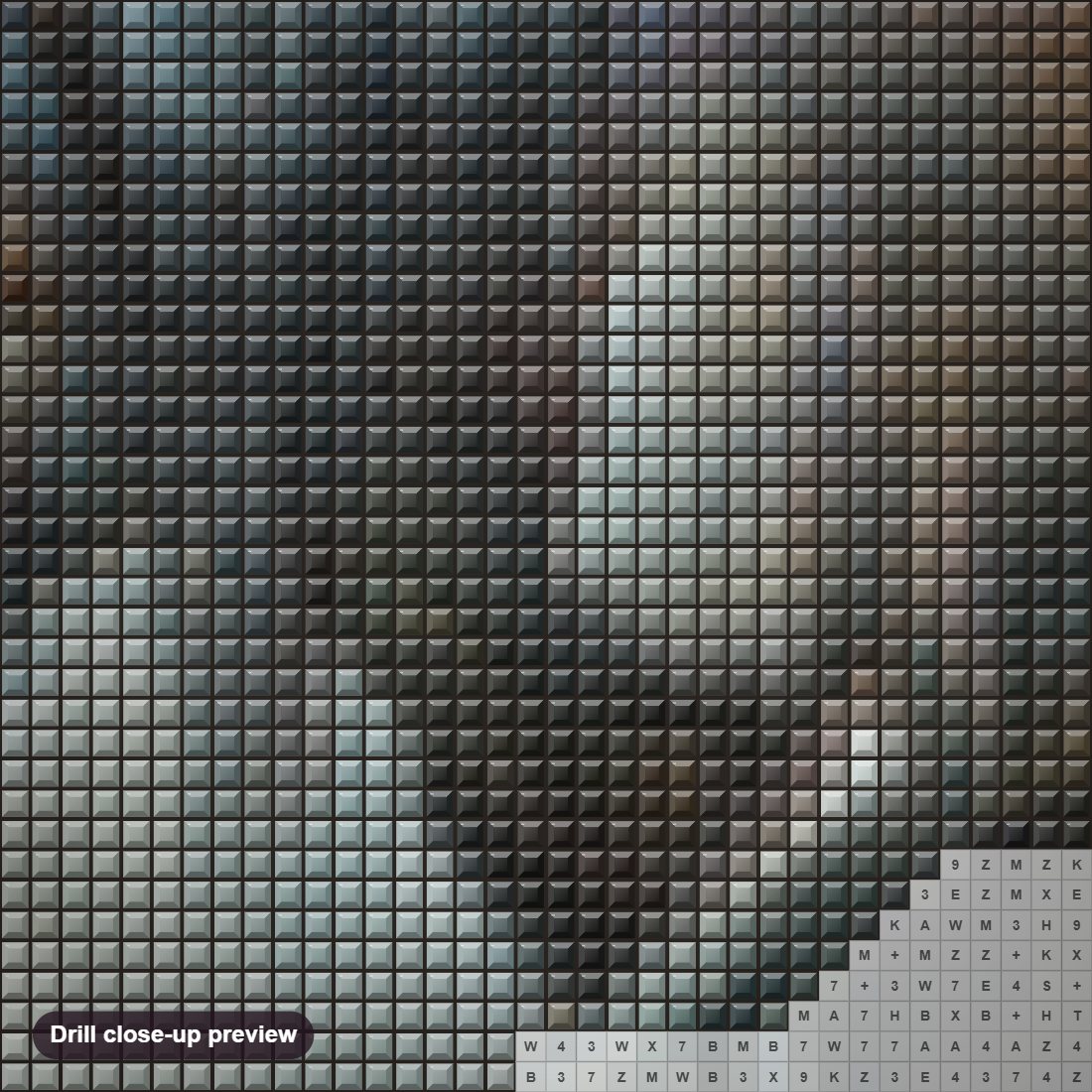 Close-up preview of the Into The Wild diamond painting with square 5D drills and printed canvas symbols