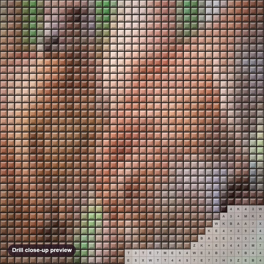 Close-up preview of the Kangaroos diamond painting with square 5D drills and printed canvas symbols