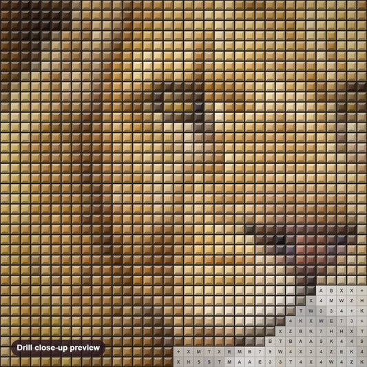 Close-up preview of the King of Beasts diamond painting with square 5D drills and printed canvas symbols