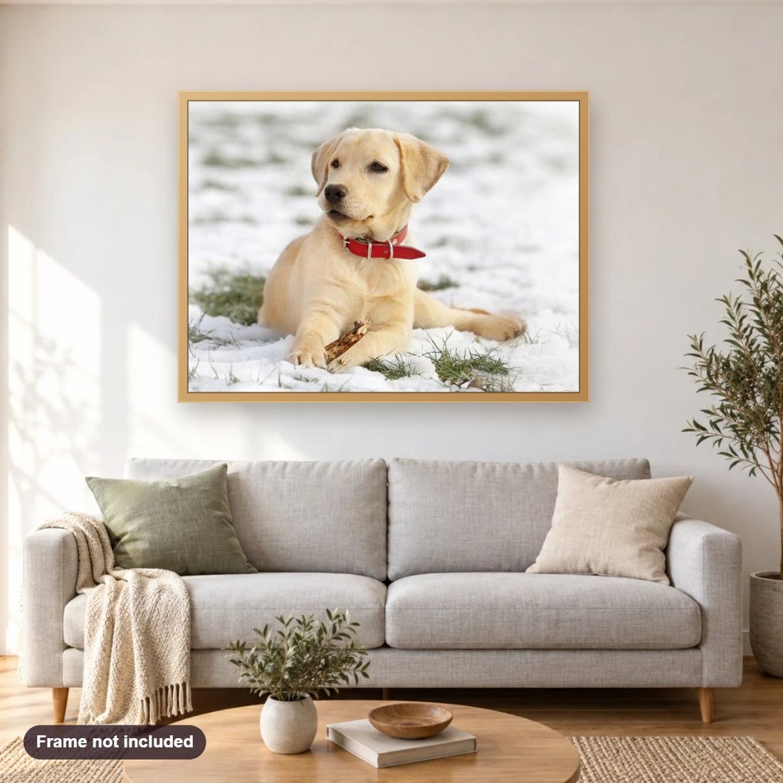 Labrador Puppy in Snow diamond painting shown framed on a living room wall above a sofa