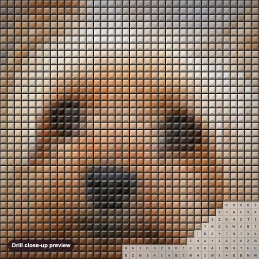Close-up preview of the Lhasa Apso diamond painting with square 5D drills and printed canvas symbols