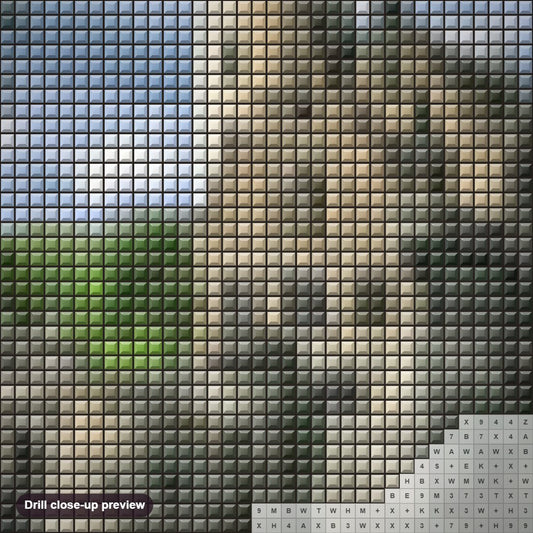 Close-up preview of the Lichtenstein Castle diamond painting with square 5D drills and printed canvas symbols