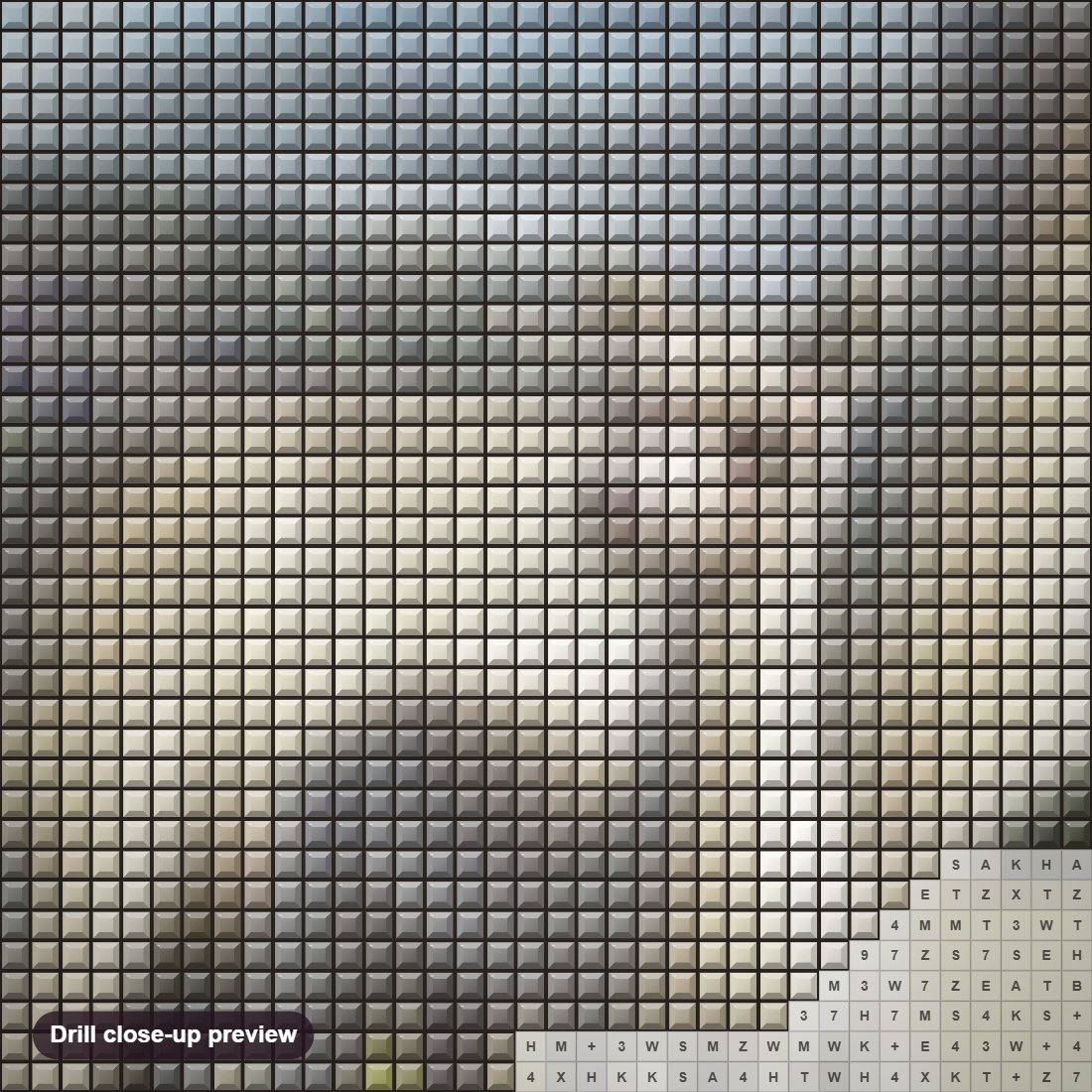 Close-up preview of the Llama diamond painting with square 5D drills and printed canvas symbols