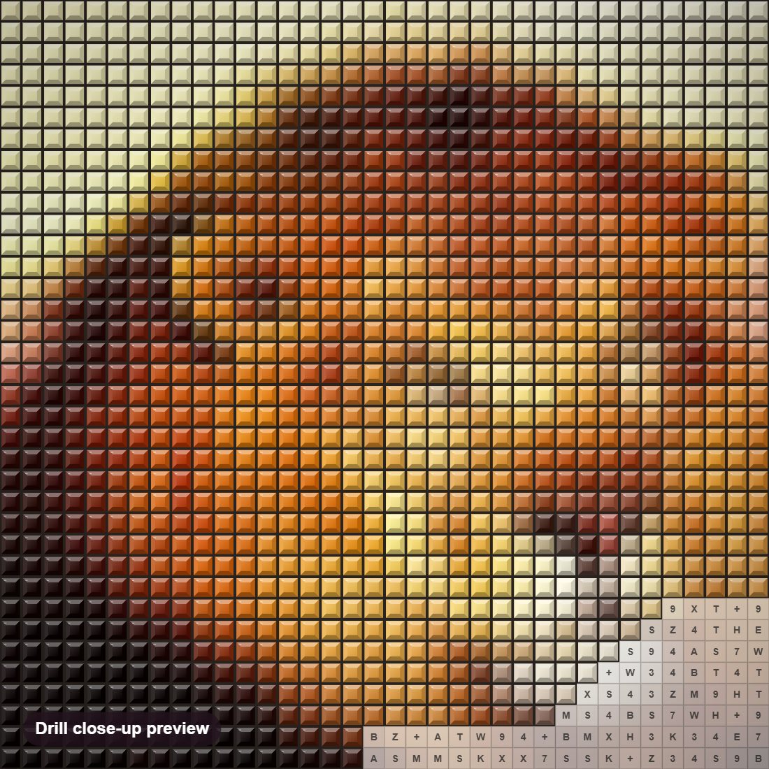 Close-up preview of the Lonely Lion in the Mountains diamond painting with square 5D drills and printed canvas symbols