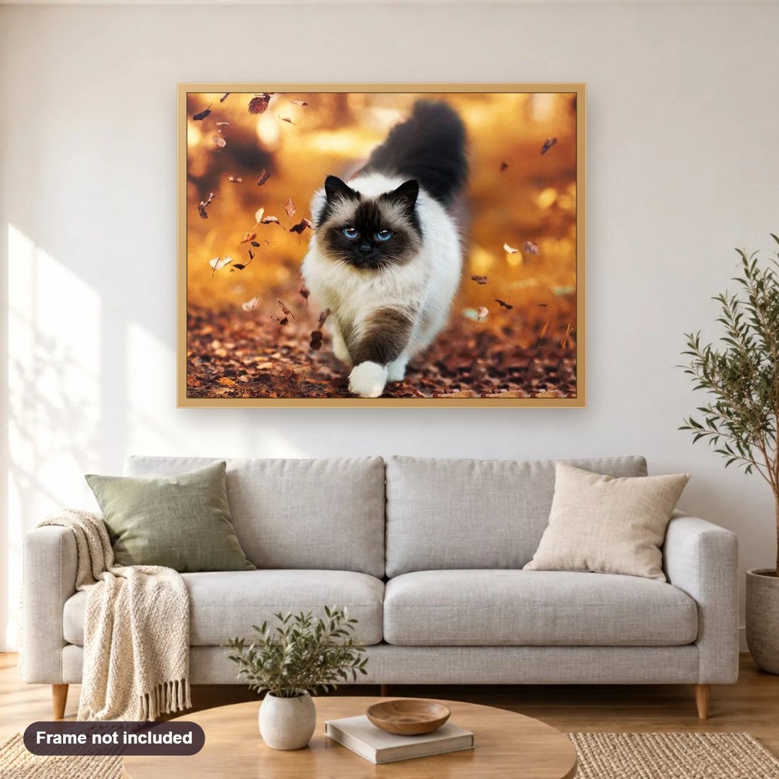 Long Haired Siamese Cat diamond painting shown framed on a living room wall above a sofa