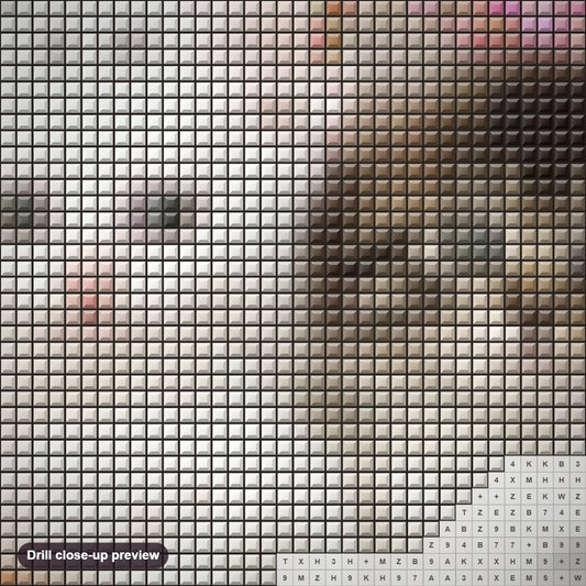 Close-up preview of the Lovely Kittens diamond painting with square 5D drills and printed canvas symbols