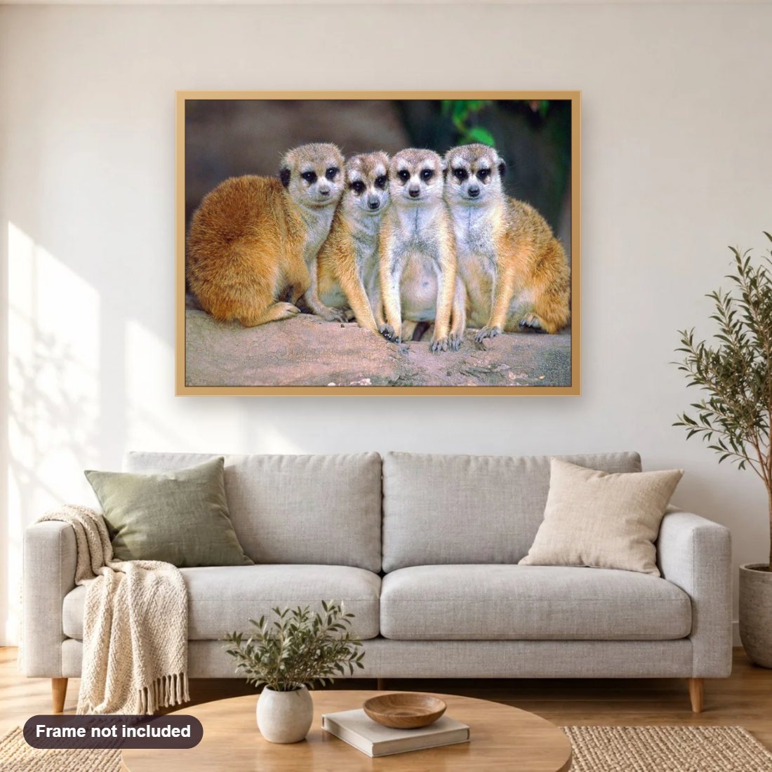 Meerkats in Group diamond painting shown framed on a living room wall above a sofa