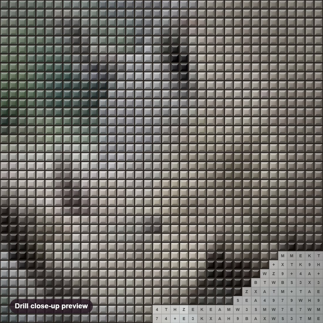Close-up preview of the Mighty Rhino diamond painting with square 5D drills and printed canvas symbols