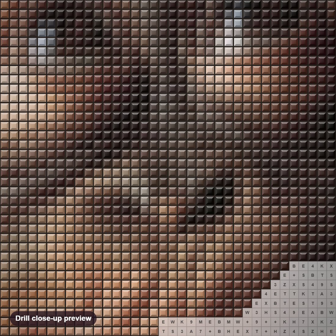 Close-up preview of the Monkey Face diamond painting with square 5D drills and printed canvas symbols