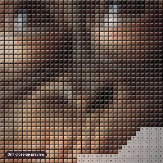 Close-up preview of the Monkey Face diamond painting with square 5D drills and printed canvas symbols