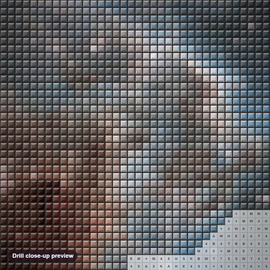 Close-up preview of the Monkey Head Nebula diamond painting with square 5D drills and printed canvas symbols