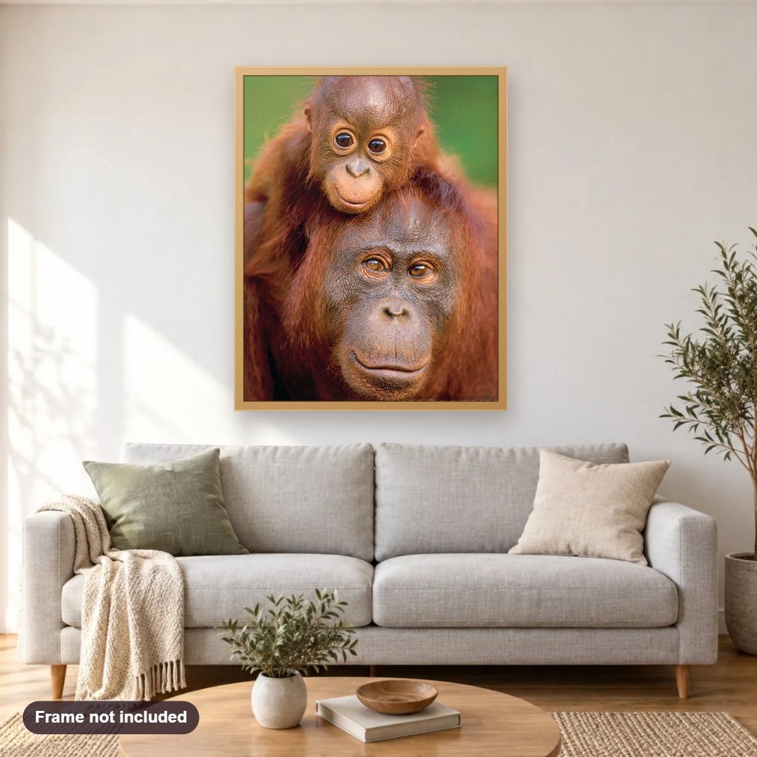 Monkey with Little Baby diamond painting shown framed on a living room wall above a sofa