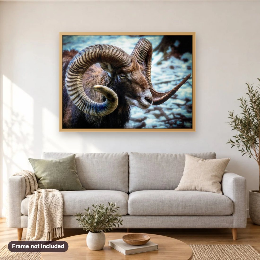 Mouflon Wild Sheep diamond painting shown framed on a living room wall above a sofa