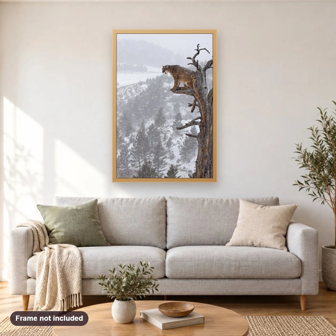 Mountain Lion on Tree diamond painting shown framed on a living room wall above a sofa