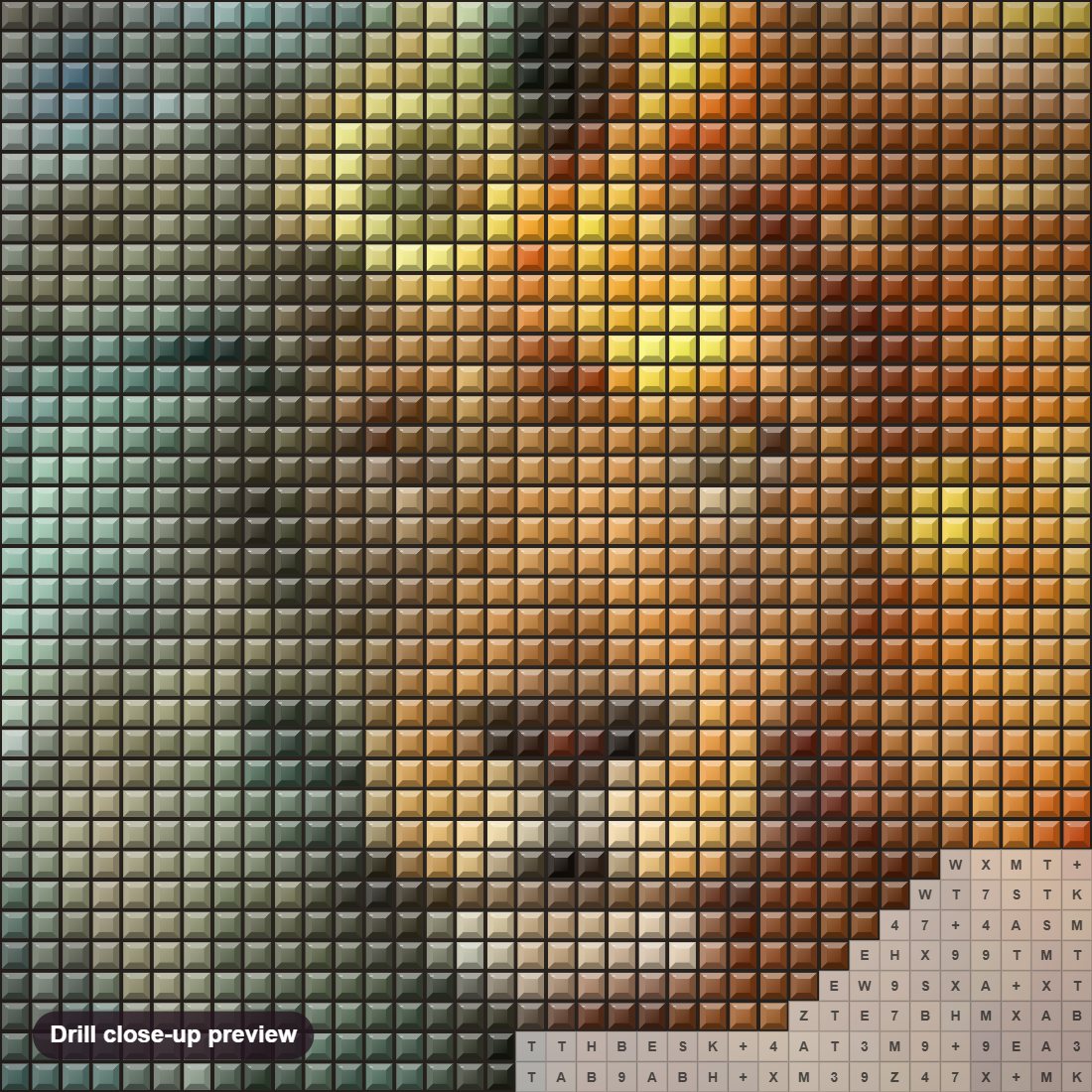 Close-up preview of the Mystic Lion diamond painting with square 5D drills and printed canvas symbols