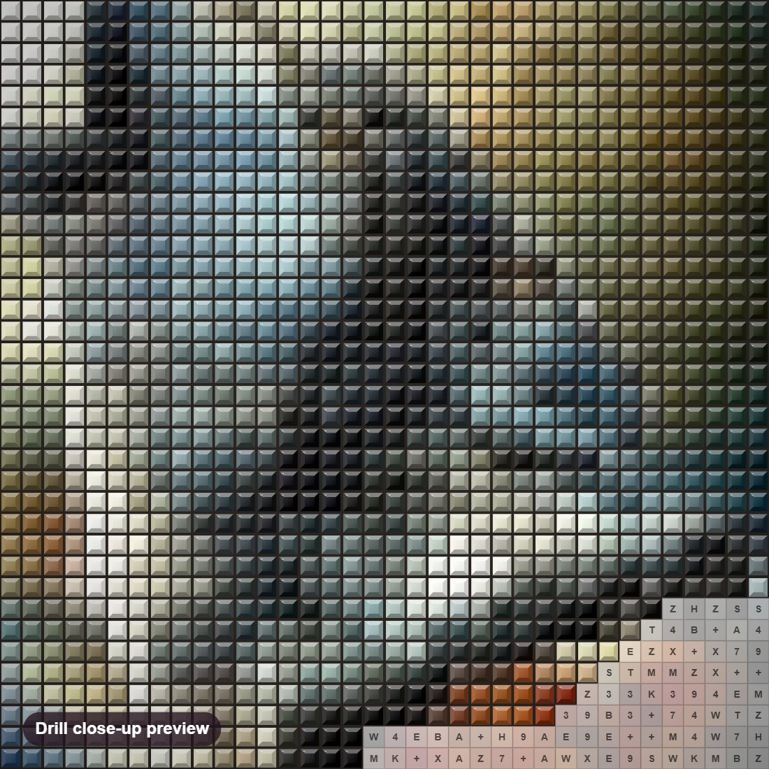 Close-up preview of the Native Woman & The Wolf diamond painting with square 5D drills and printed canvas symbols