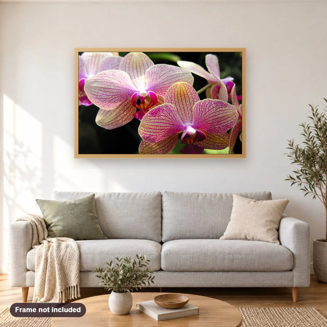 Orchids diamond painting shown framed on a living room wall above a sofa