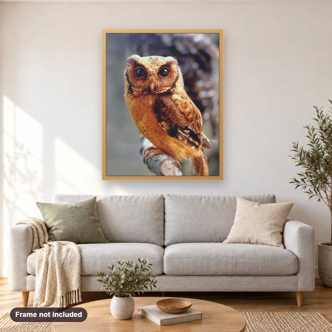 Owl Beauty diamond painting shown framed on a living room wall above a sofa