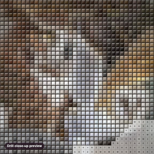 Close-up preview of the Owl Breeds diamond painting with square 5D drills and printed canvas symbols