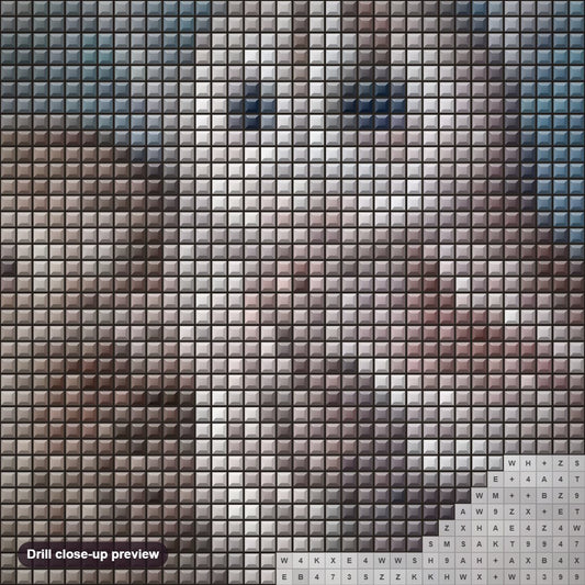 Close-up preview of the Owl Couple diamond painting with square 5D drills and printed canvas symbols