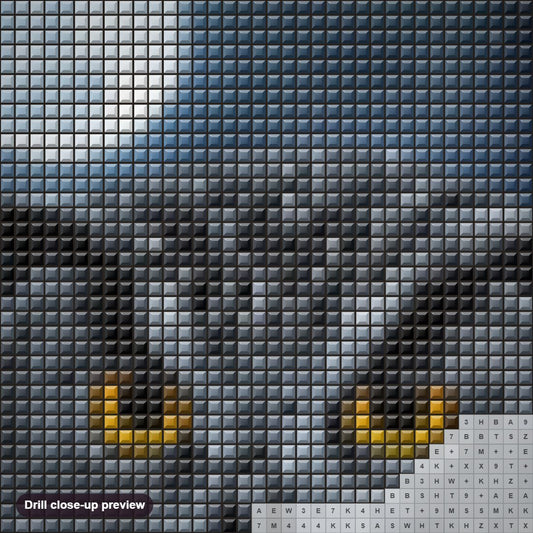Close-up preview of the Owl & Full Moon Night diamond painting with square 5D drills and printed canvas symbols