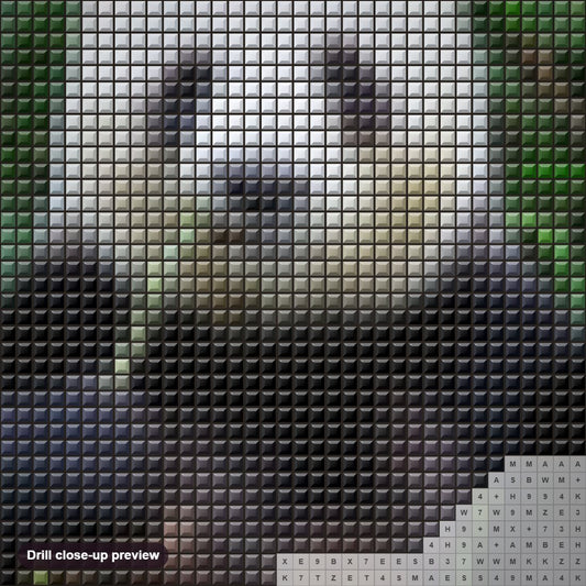 Close-up preview of the Panda Eating Grass diamond painting with square 5D drills and printed canvas symbols