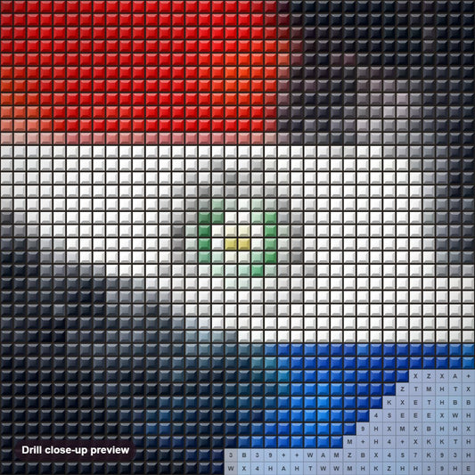 Close-up preview of the Paraguay Country Map diamond painting with square 5D drills and printed canvas symbols