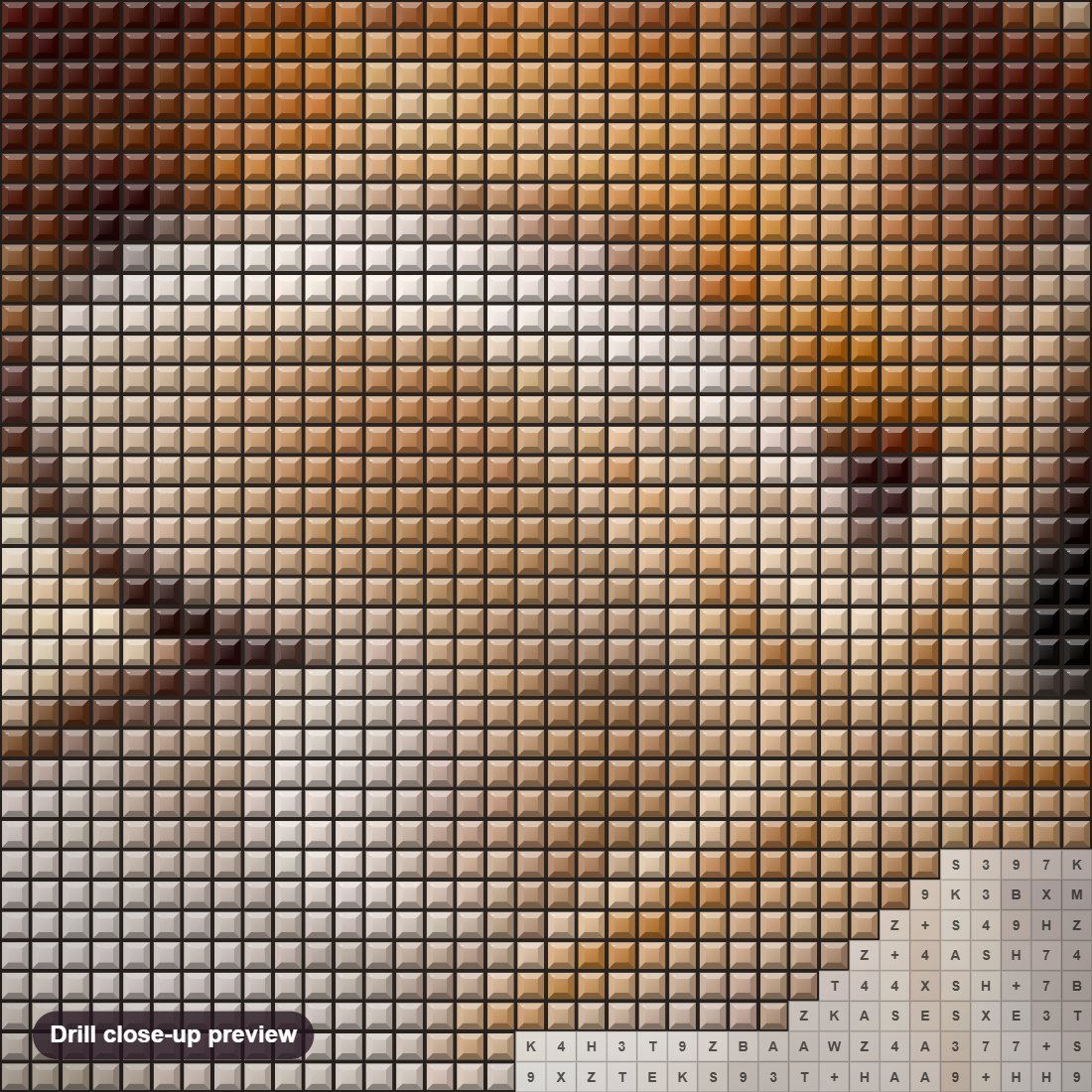 Close-up preview of the Pearl in the Oyster diamond painting with square 5D drills and printed canvas symbols