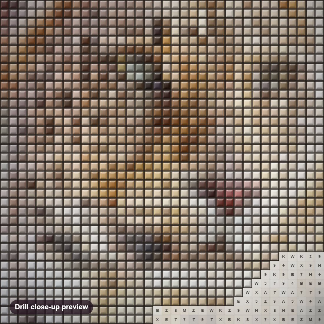 Close-up preview of the Persian Leopard Portrait diamond painting with square 5D drills and printed canvas symbols