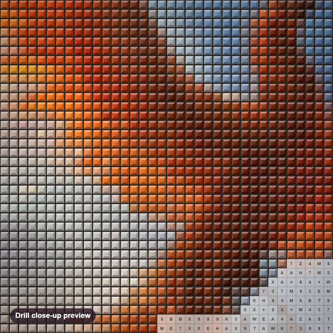 Close-up preview of the Phoenix In The Sky diamond painting with square 5D drills and printed canvas symbols
