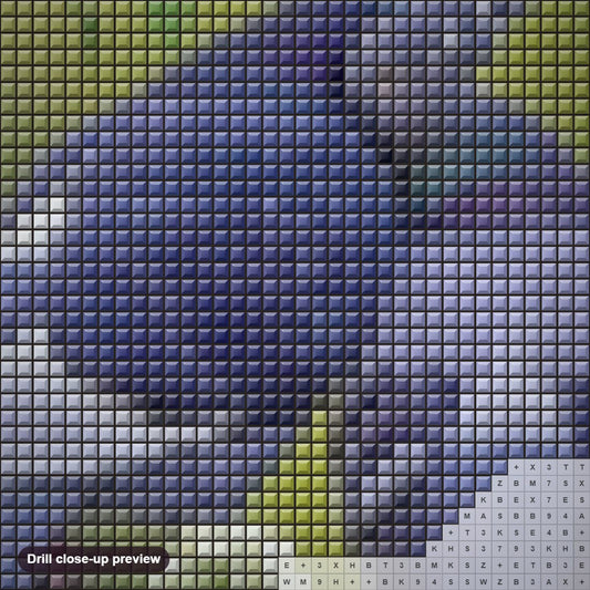 Close-up preview of the Pigeon diamond painting with square 5D drills and printed canvas symbols