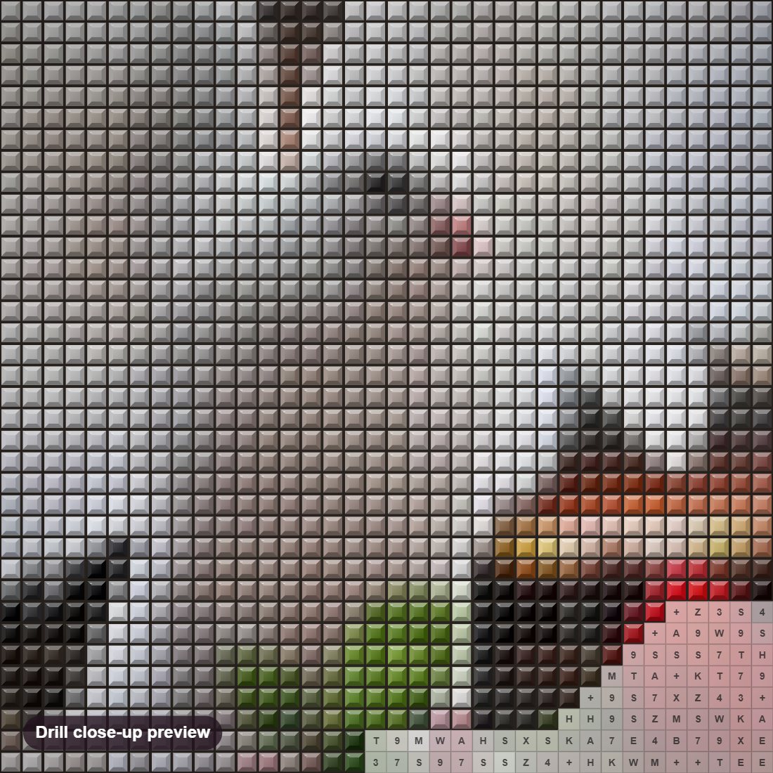 Close-up preview of the Pigeon with Red Rose diamond painting with square 5D drills and printed canvas symbols