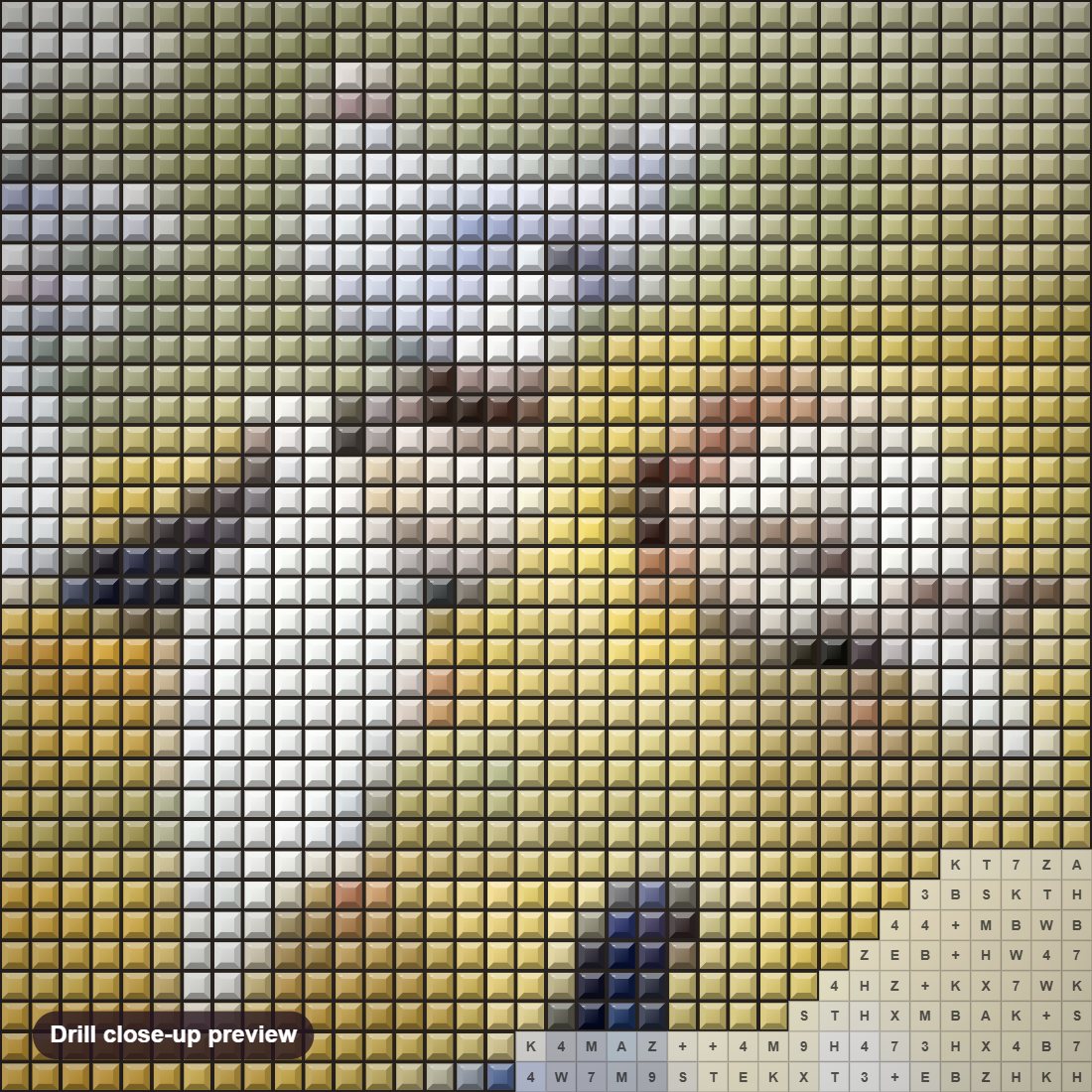 Close-up preview of the Pigeons diamond painting with square 5D drills and printed canvas symbols
