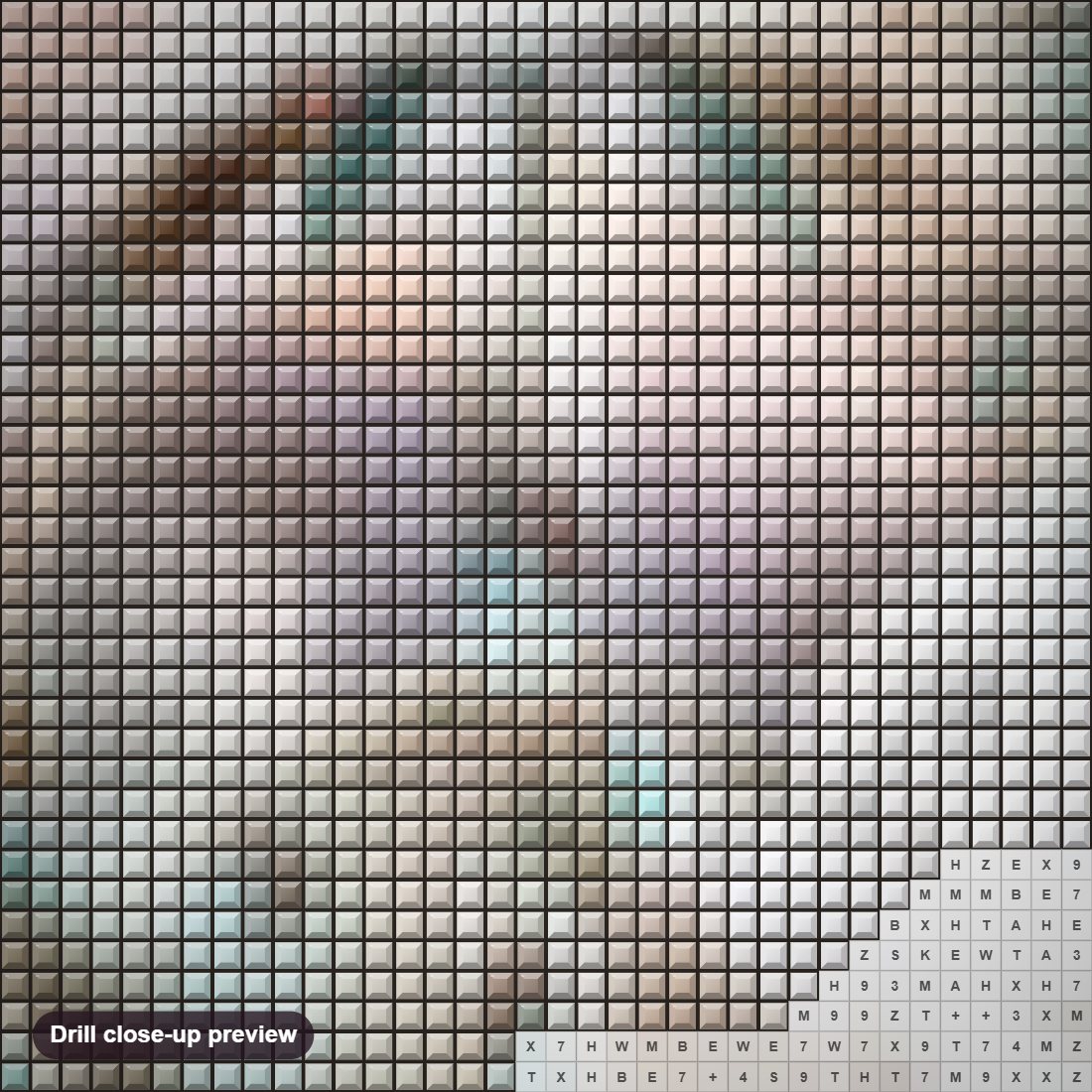 Close-up preview of the Pigeons Dream Catcher diamond painting with square 5D drills and printed canvas symbols