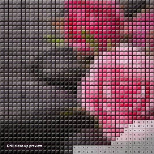 Close-up preview of the Pink Roses on Black Rocks diamond painting with square 5D drills and printed canvas symbols