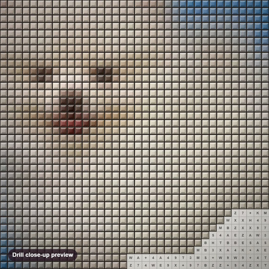 Close-up preview of the Pomeranian Fluffy Puppy diamond painting with square 5D drills and printed canvas symbols