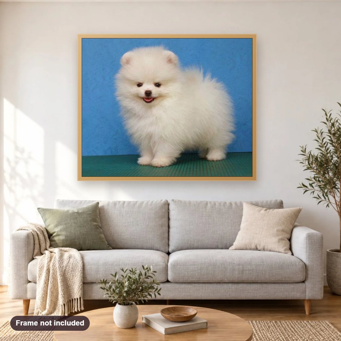 Pomeranian Fluffy Puppy diamond painting shown framed on a living room wall above a sofa
