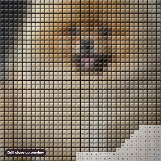Close-up preview of the Pomeranian diamond painting with square 5D drills and printed canvas symbols
