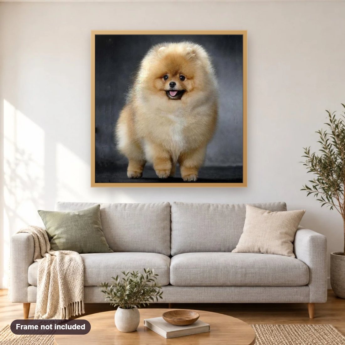 Pomeranian diamond painting shown framed on a living room wall above a sofa