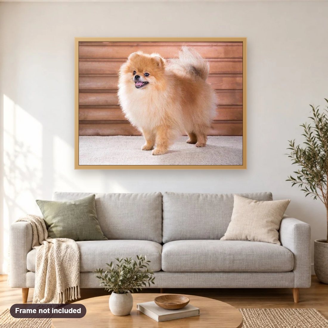 Pomeranian Puppy diamond painting shown framed on a living room wall above a sofa