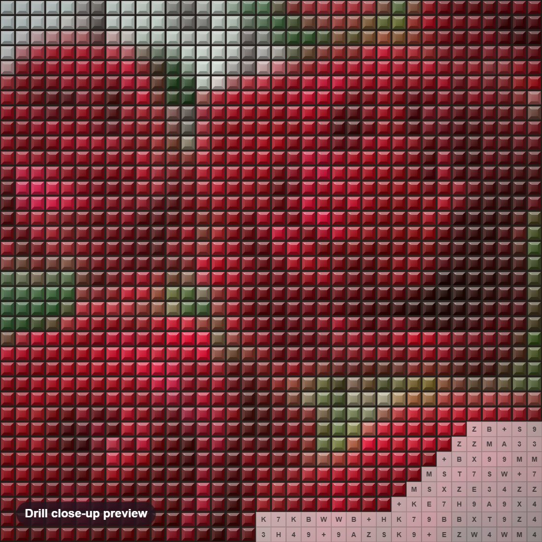Close-up preview of the Pretty Red Roses diamond painting with square 5D drills and printed canvas symbols