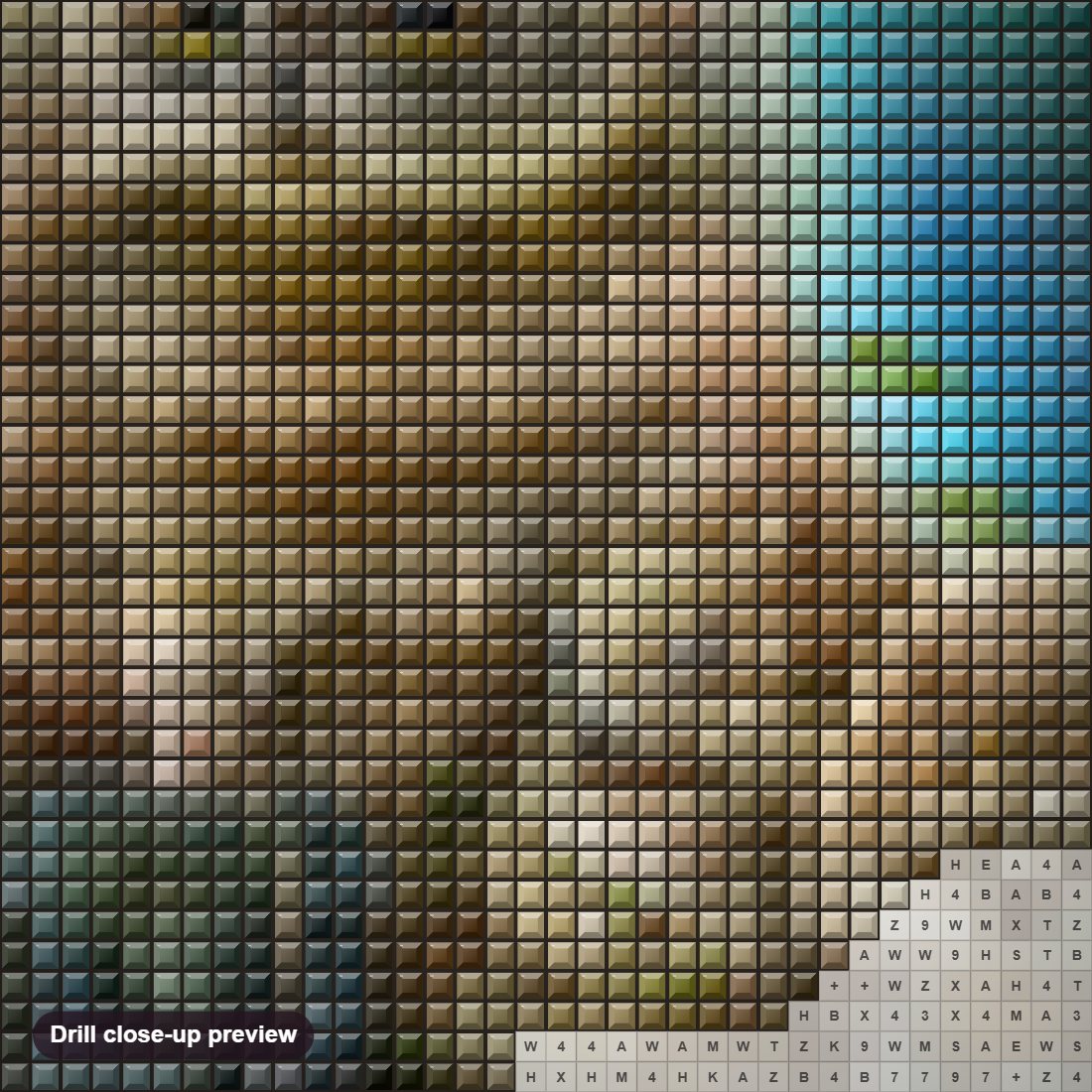 Close-up preview of the Princess & the Guardians diamond painting with square 5D drills and printed canvas symbols