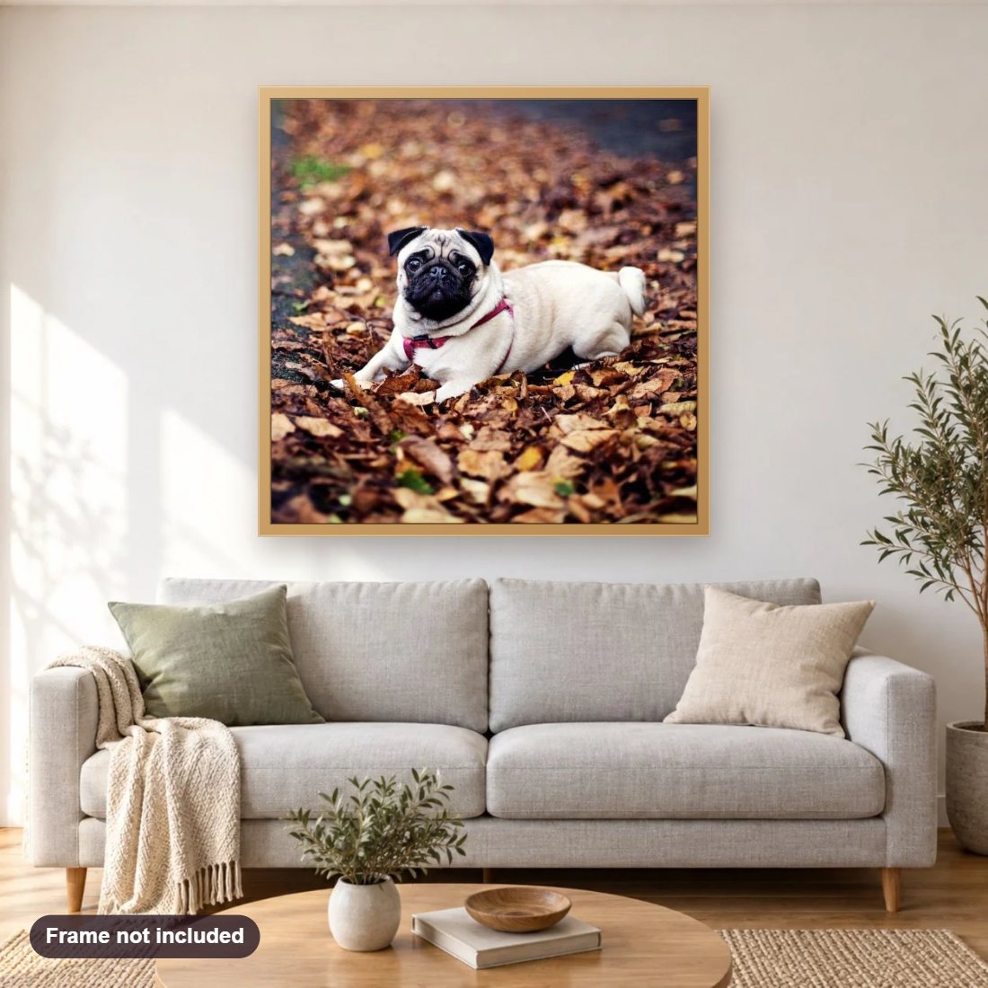 Pug Dog in the Forest diamond painting shown framed on a living room wall above a sofa