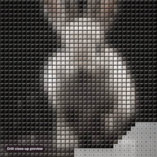 Close-up preview of the Rabbit in Dark diamond painting with square 5D drills and printed canvas symbols