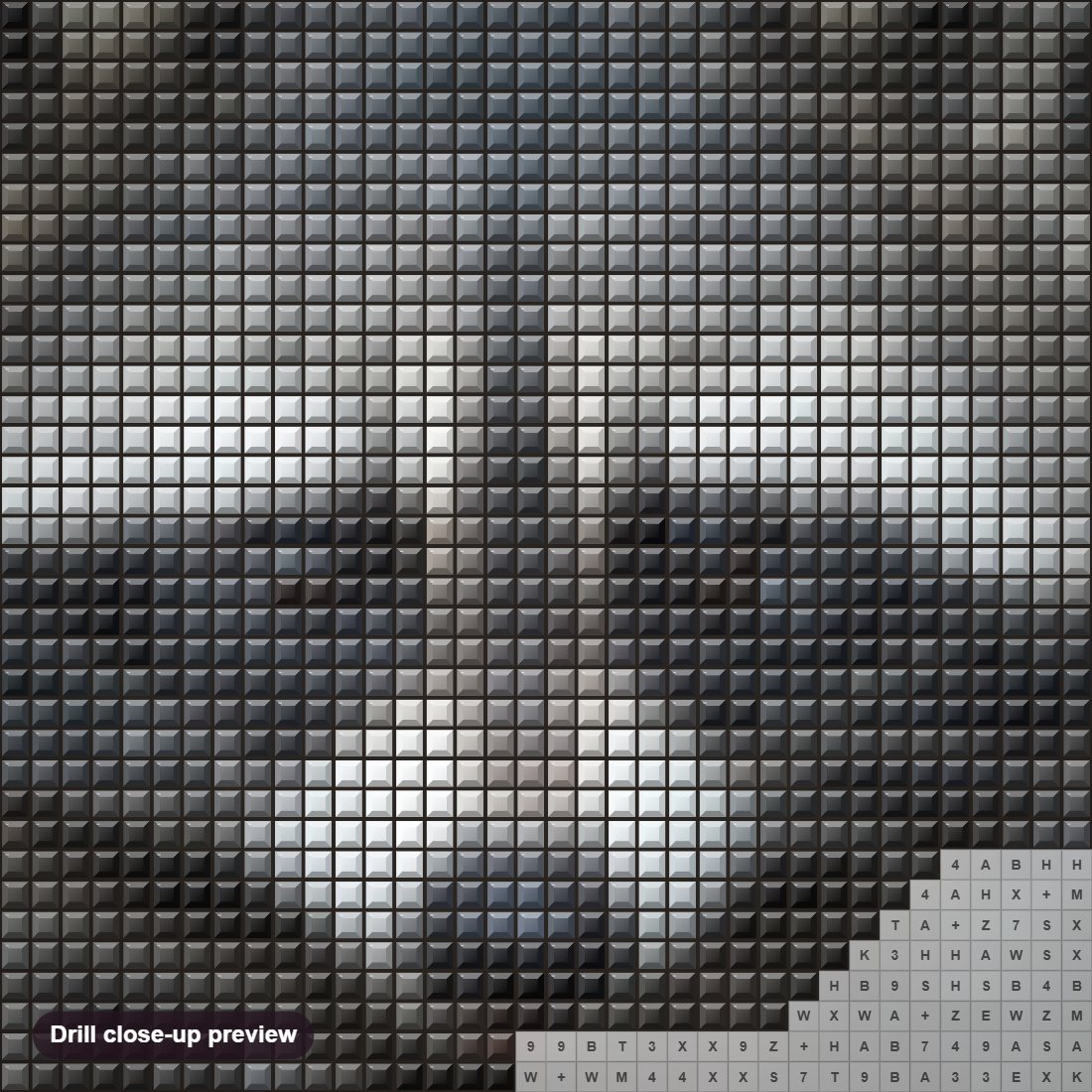 Close-up preview of the Raccoon diamond painting with square 5D drills and printed canvas symbols