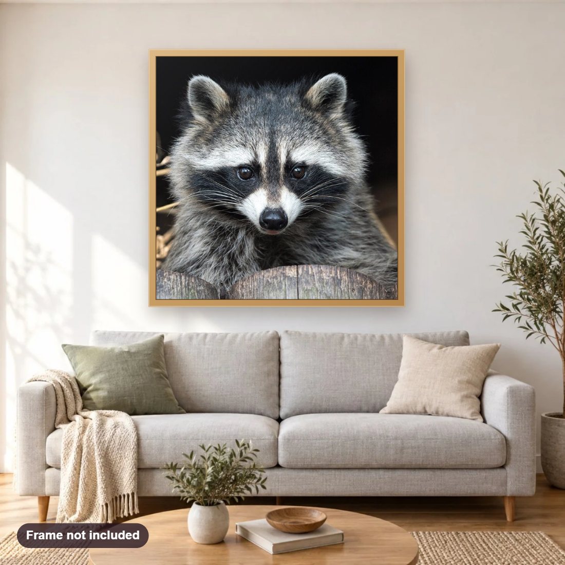 Raccoon diamond painting shown framed on a living room wall above a sofa